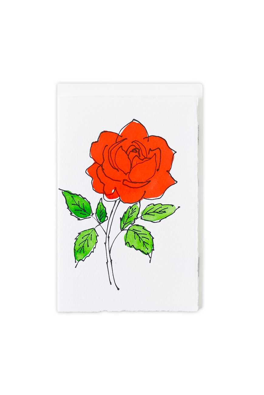 Greeting Card Rose Red