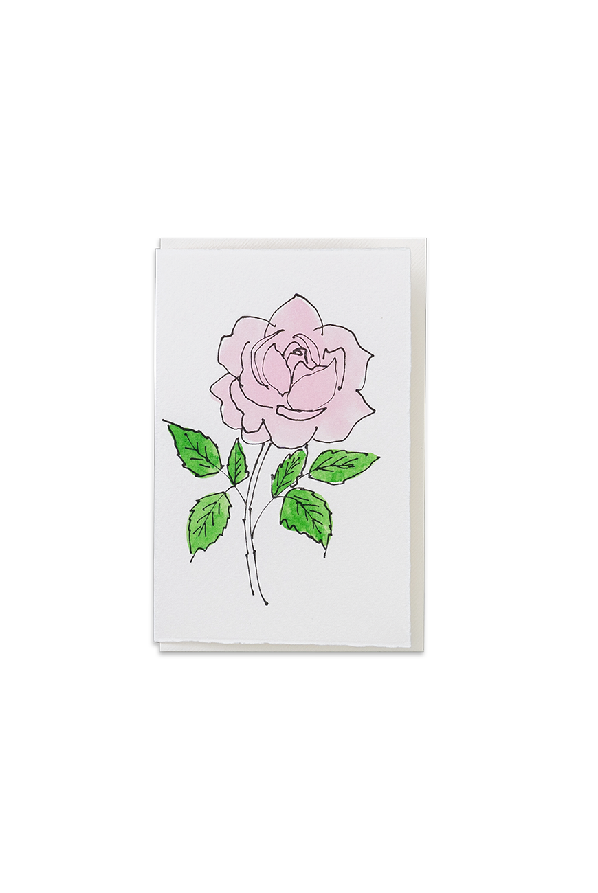Greeting Card Rose Candy Pink