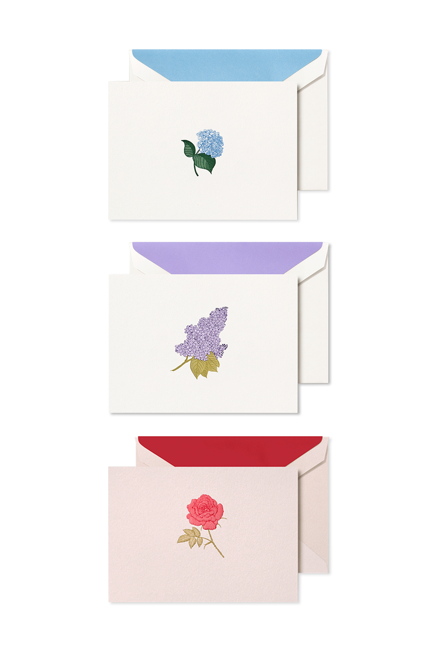 Folded Card Set  - Flower