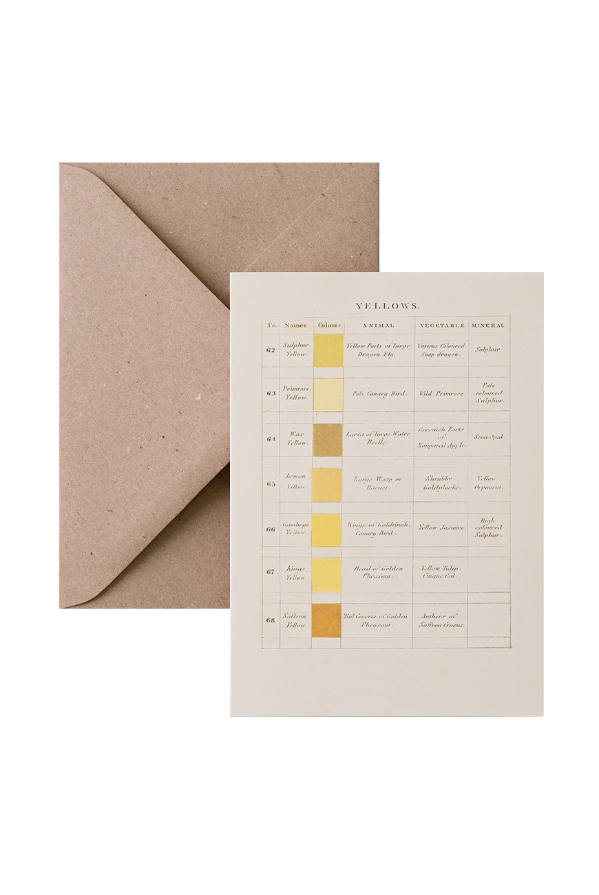 Card &amp; Envelope - Yellows