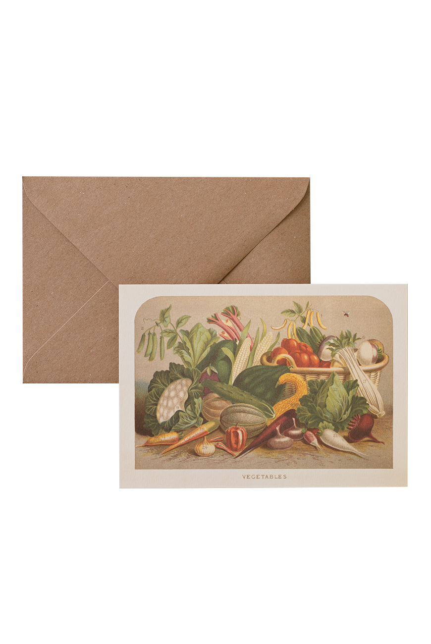 Card &amp; Envelope - Vegetables