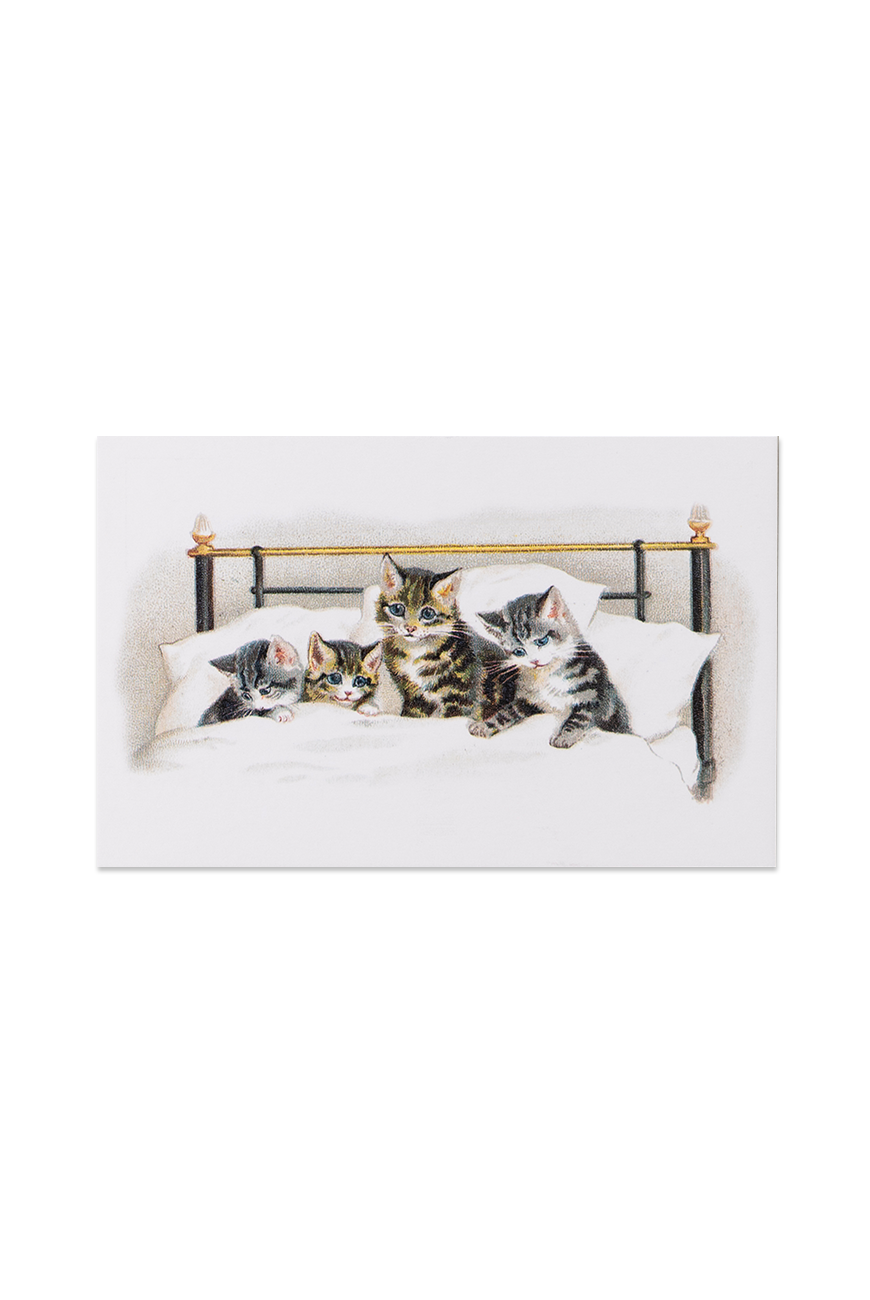 Postcard - Cats bed
