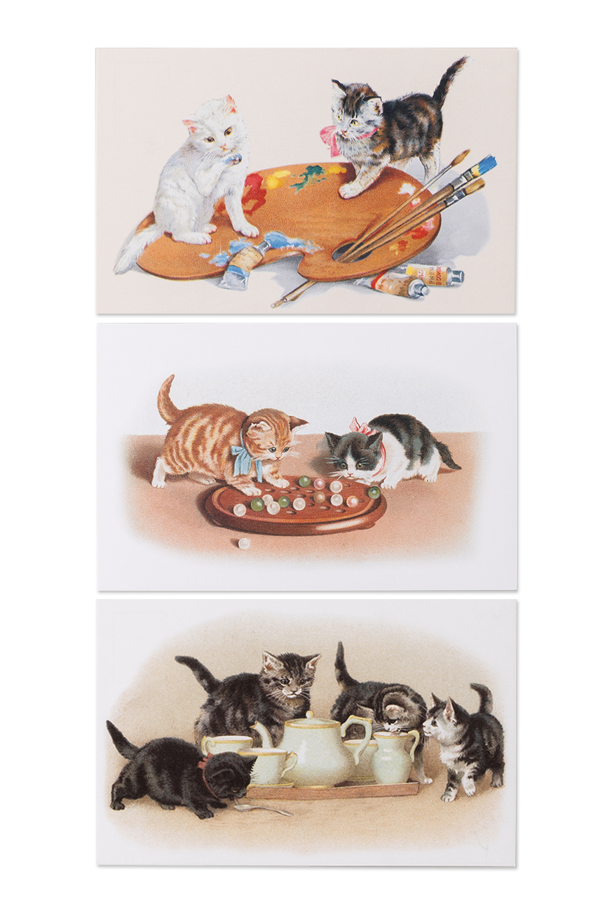 Postcard - Cats and Dogs