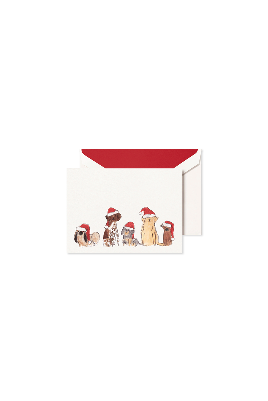 Folded Card Set  - Santa Dogs